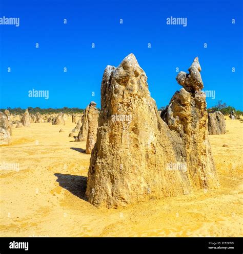 Pinnacles Desert Weathered Limestone Pillars Popular Tourist Attraction