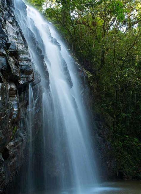 10 of the Best Cairns Tablelands Waterfalls