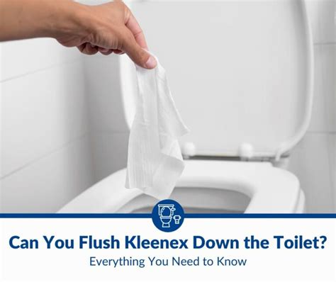 Can You Flush Kleenex Tissues Down The Toilet 2025