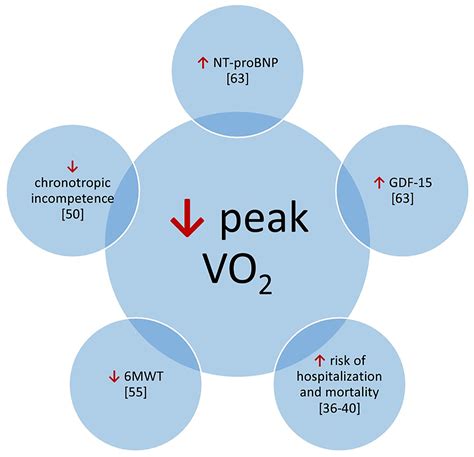 Frontiers Heart Failure Risk Predictions And Prognostic Factors In