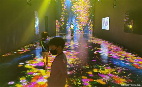 Future World, ArtScience Museum: Explore New Frontiers With Digital ...