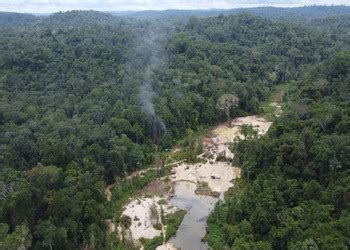 Illegal Gold Mining Continues Threatening Yanomami Land In Brazil