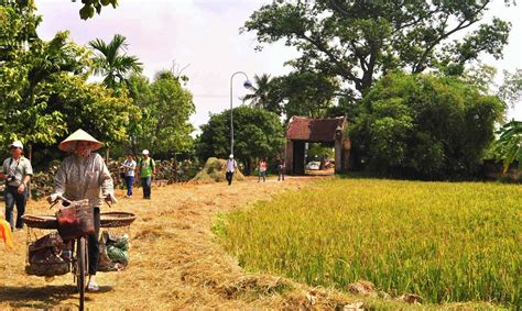 Duong Lam Village Day Tour - Trip to Typical Vietnam Rural Village