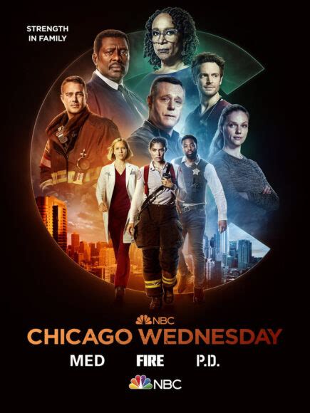 Chicago P.D. Season 10 First Look (Photos)