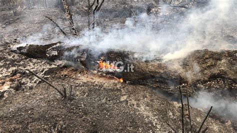 Incendio Boschivo A Bormida Intervengono Vigili Del Fuoco E Volontari