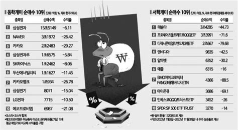 2023 증시 전망 국내 순매수 상위종목 모두 마이너스내년도 어둡다