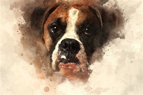 De Mooiste Fotos Van Je Hond Afdrukken Op Een Canvas De Nieuwe Hond