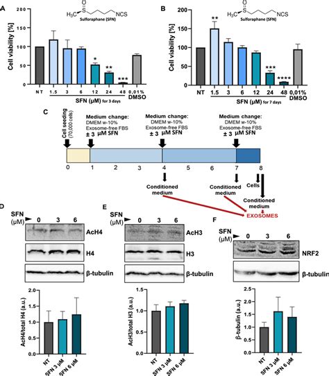 Long Term Dose And Time Dependent Effects Of Sulforaphane On Murine