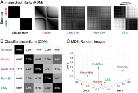 Representational Similarity Analysis RSA Of Randomly Selected