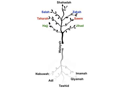 CVAR | Did you know? The Seven Pillars of Islam