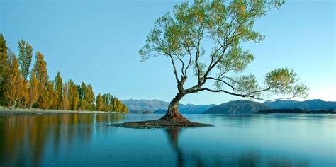 The Best Lake Wanaka Autumn Activities 2023 Free Cancellation