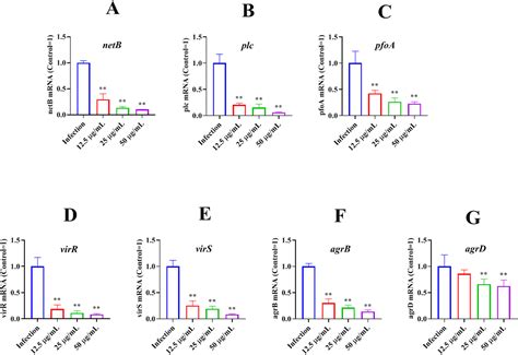 Anemoside B Attenuates Necrotic Enteritis Of Laying Hens Induced By