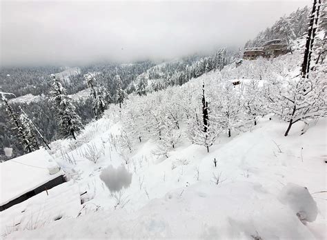 Himachal Pradesh: Higher reaches continue to receive heavy snowfall - TheDailyGuardian