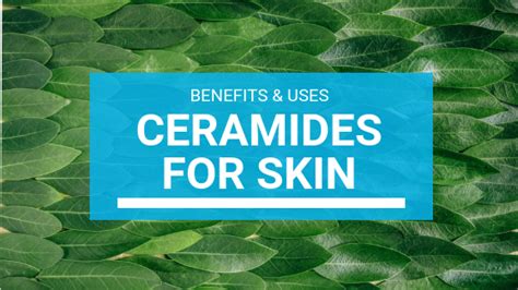 Ceramides For Skin: Benefits & Uses – Misumi Luxury Beauty Care