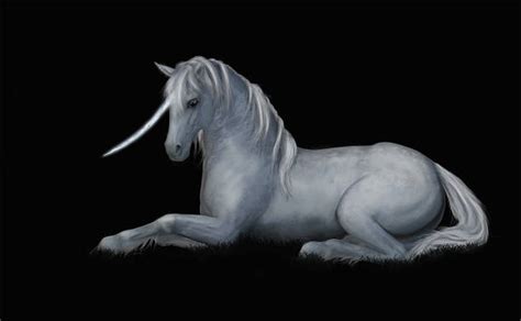 Horse Drawing Laying Down