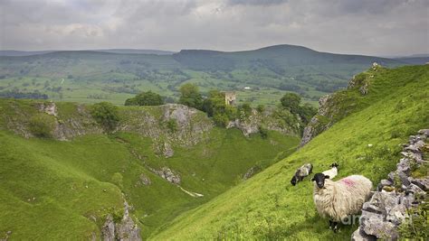 Cavedale castleton the Peak District National Park Photograph by Darren ...