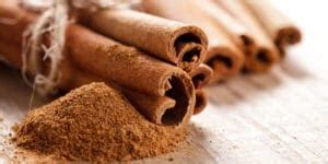 Does Cinnamon Repel Ants The Truth About Cinnamon And Ants