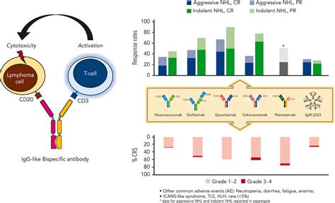 Bispecific antibodies for the treatment of B-cell lymphoma: promises ...