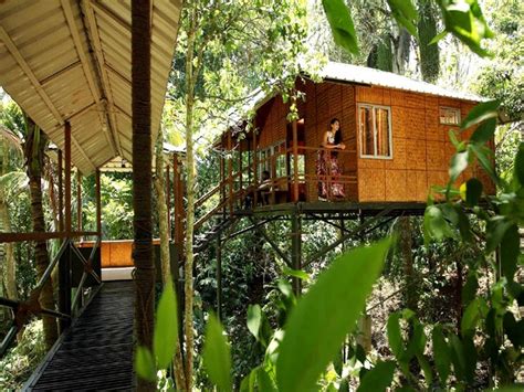 8 Best Cottages In Wayanad Treehouse Resorts In Wayanad