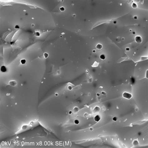 Fe Sem Images Of The Fracture Surface Of Sample S After Helium Was