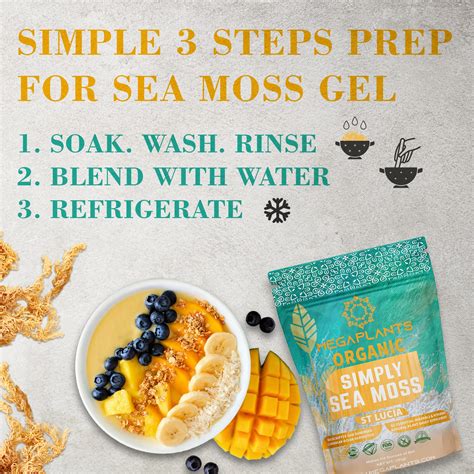 Buy MegaPlants Simply Sea Moss St Lucia PRE Washed 240 Servings