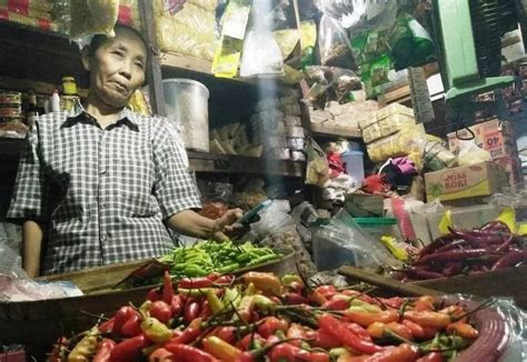 Harga Cabai Stabil Tinggi Krjogja