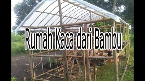 Cara Membuat Green House Hidroponik Sederhana