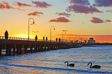 Best beaches in Melbourne - Lonely Planet