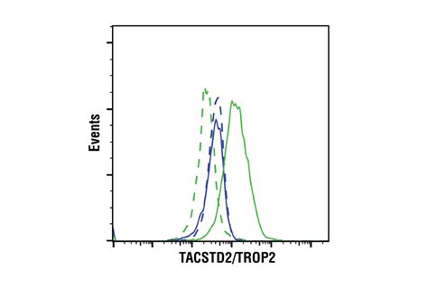 TACSTD2 TROP2 E8Y8S Rabbit MAb Cell Signaling Technology