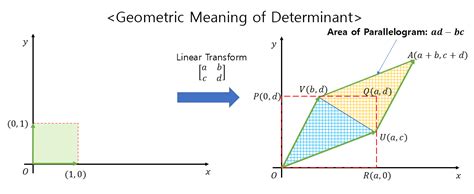 Geometric Meaning Of Jacobian Matrix Angelo S Math Notes