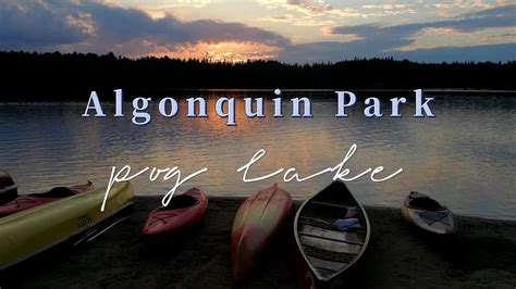 Algonquin Park Pog Lake露营 Youtube