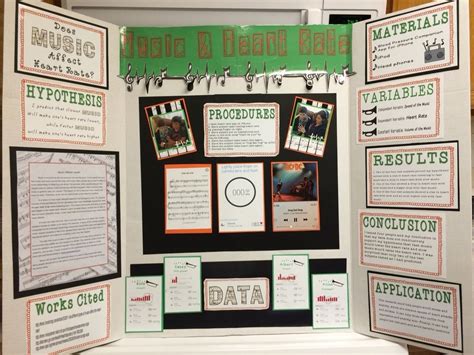 10 Famous Science Project Display Board Ideas 2024