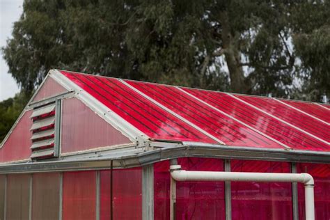 New Solar Greenhouse A Greener Way To Grow Your Greens