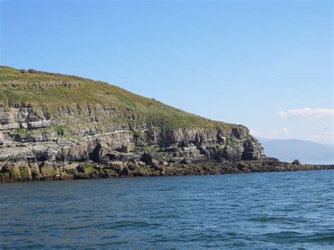 Puffin Island Puffin Island Anglesey June2013 Arfon Jones Flickr