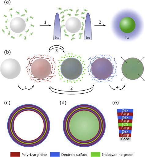 Figure From Indocyanine Green Dye Based Bimodal Contrast Agent Tested