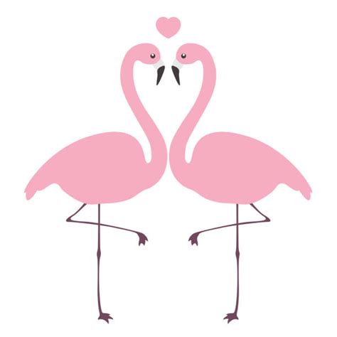 Flamingo Heart Illustrations Royalty Free Vector Graphics And Clip Art