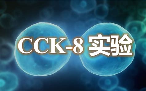 【cck8实验】来学一学cck 8细胞增殖实验吧（我现学现卖的） 哔哩哔哩