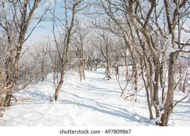 100 Yongpyong Ski Resort Images, Stock Photos & Vectors | Shutterstock