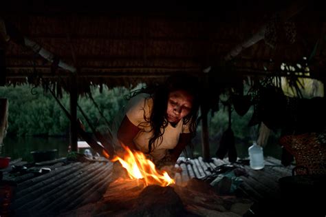 wonderland  strange inhabitants  delta amacuro phmuseum