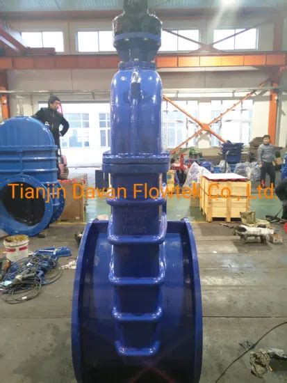 Dn1200 Gate Valve China Factory Oem Bs5163 Pn16 Rubber Wedge Gate Valve Ductile Iron Ggg50