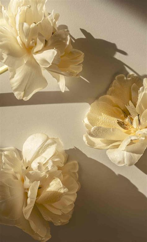 High Resolution iPhone Wallpapers - 4k, HD Backgrounds on WallpaperBat