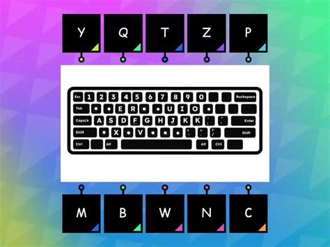 Tybcmnpqwz Labelled Diagram