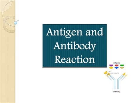 Antigen and antibody reaction | PPT