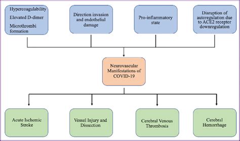 Neurovascular Chart