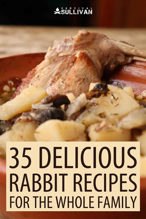 34 Delicious Rabbit Recipes for the Whole Family