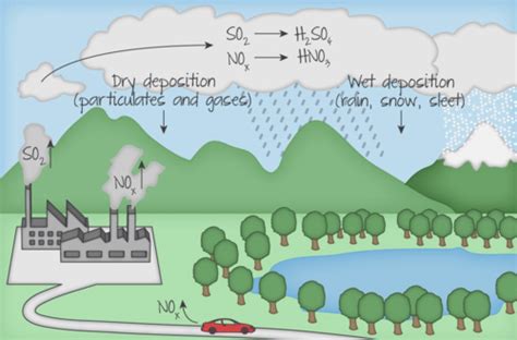 Kognity 6.4 - Acid Deposition Flashcards | Quizlet