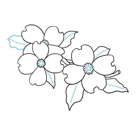 How To Draw Dogwood Flowers Really Easy Drawing Tutorial