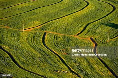 Darling Western Cape Photos And Premium High Res Pictures Getty Images