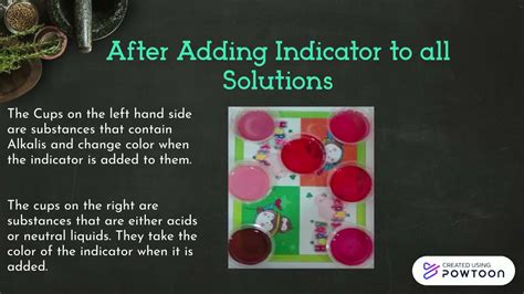 Beet Root Indicator Experiment Youtube