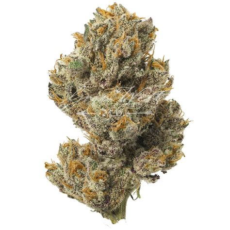 Orange Runtz Gold Trimmed 28g Grow West Cannabis Company